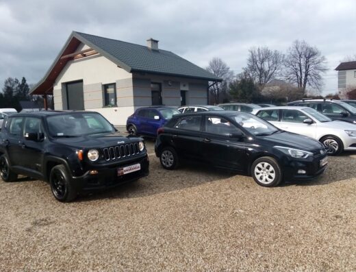 Auto skup Śląsk , Małopolska Bajo-Auto