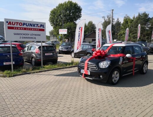 Autopunkt